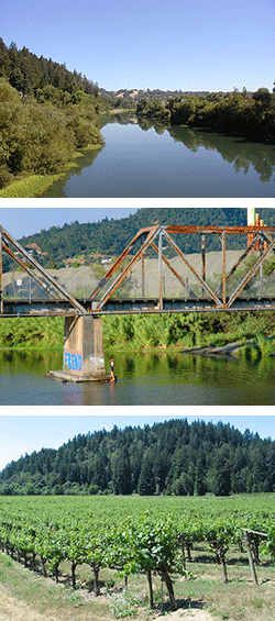 Russian River Wine Tours