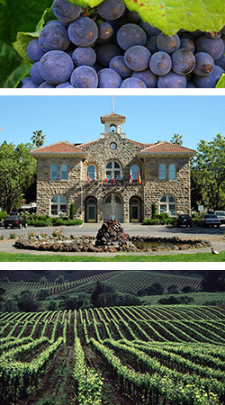 Sonoma Limousine and Sedan Service
