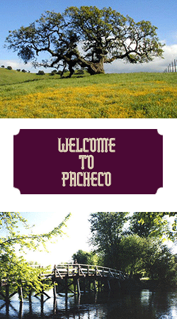 Pacheco Limousine and Sedan Service