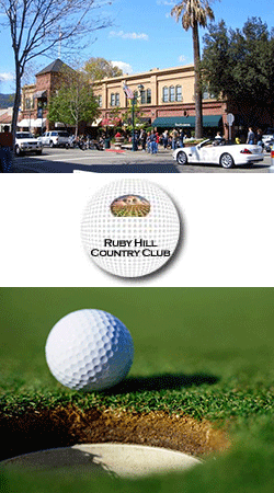 Pleasanton Limousine and Sedan Service
